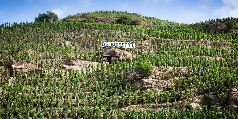 Domaine de Boisseyt