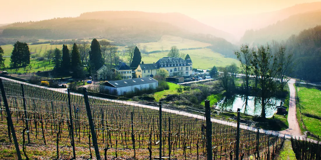 Weingut Egon Müller zu Scharzhof