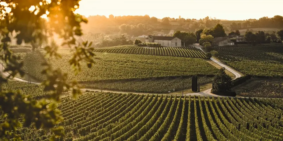 Château Faugères Gerstl Weinselektionen