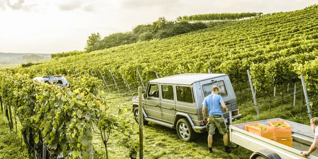 Weingut Franz Keller