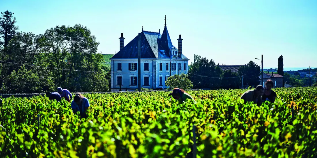 Château Grange Cochard