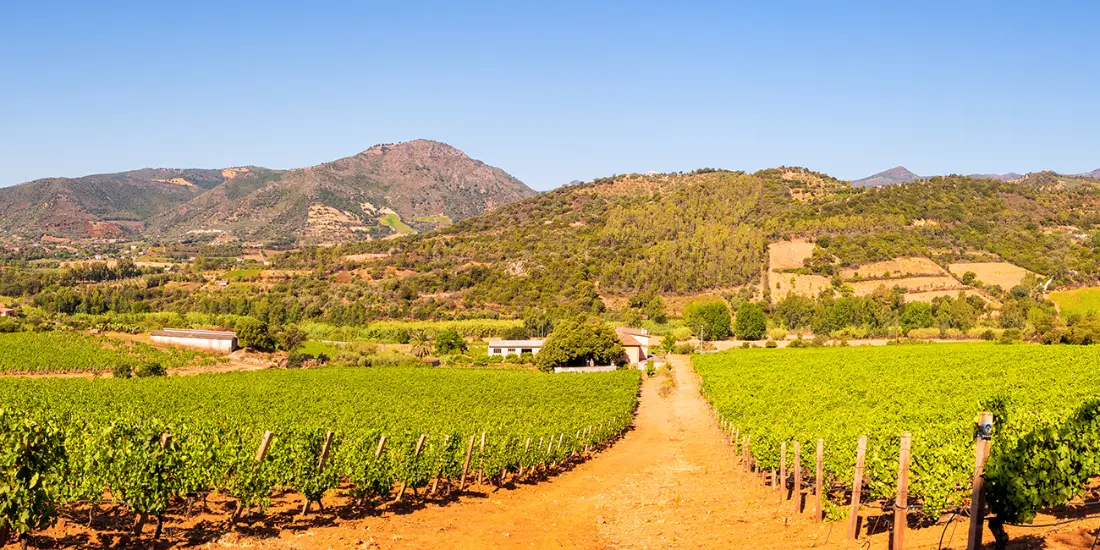 Antichi Poderi Jerzu