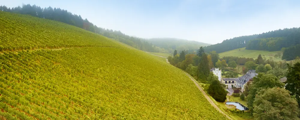 Weingut Karthäuserhof