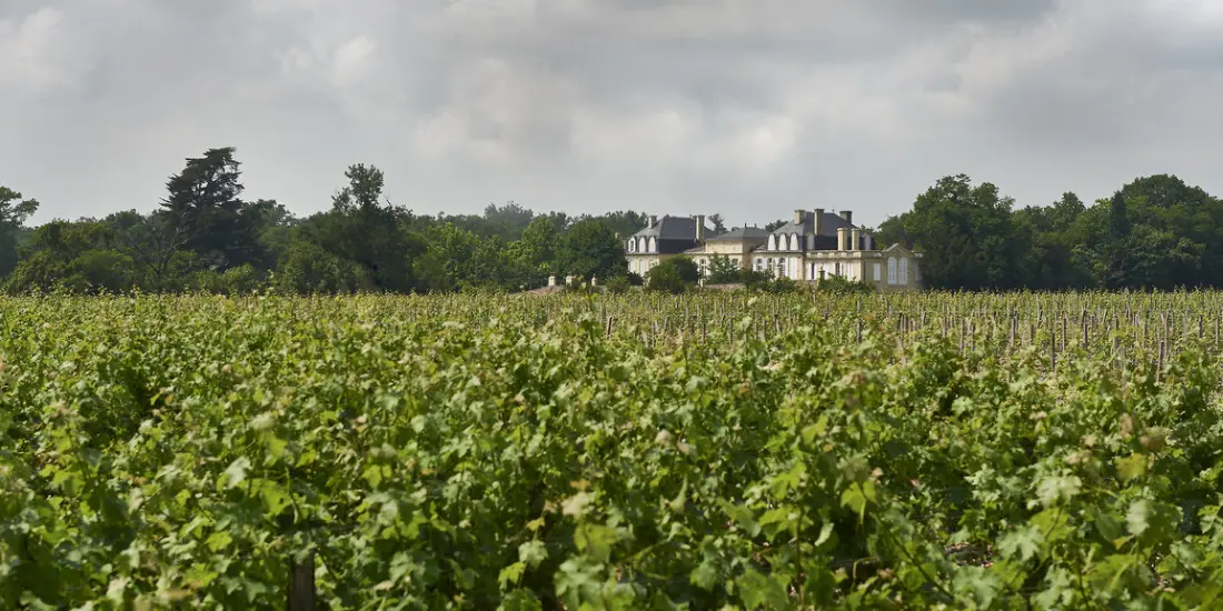 Château Léoville Barton