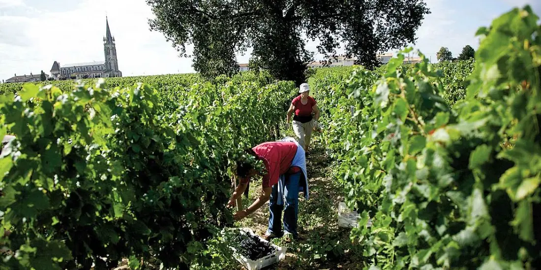 Clos de la Vieille Eglise