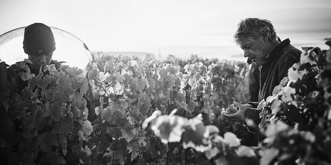 Domaine Grand'Cour - Jean-Pierre Pellegrin