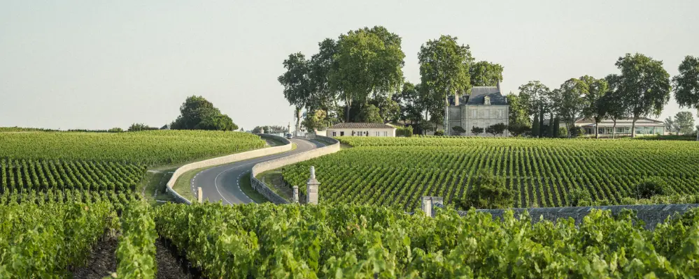 Château Pichon-Longueville Comtesse de Lalande