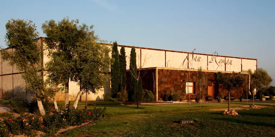 San Román Bodegas y Viñedos