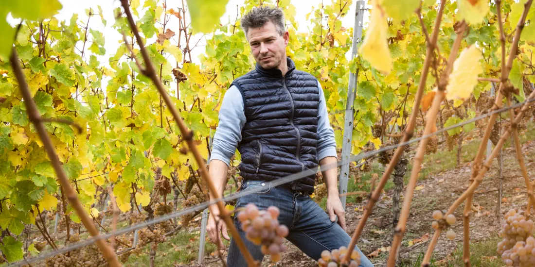 Weingut Schäfer Fröhlich