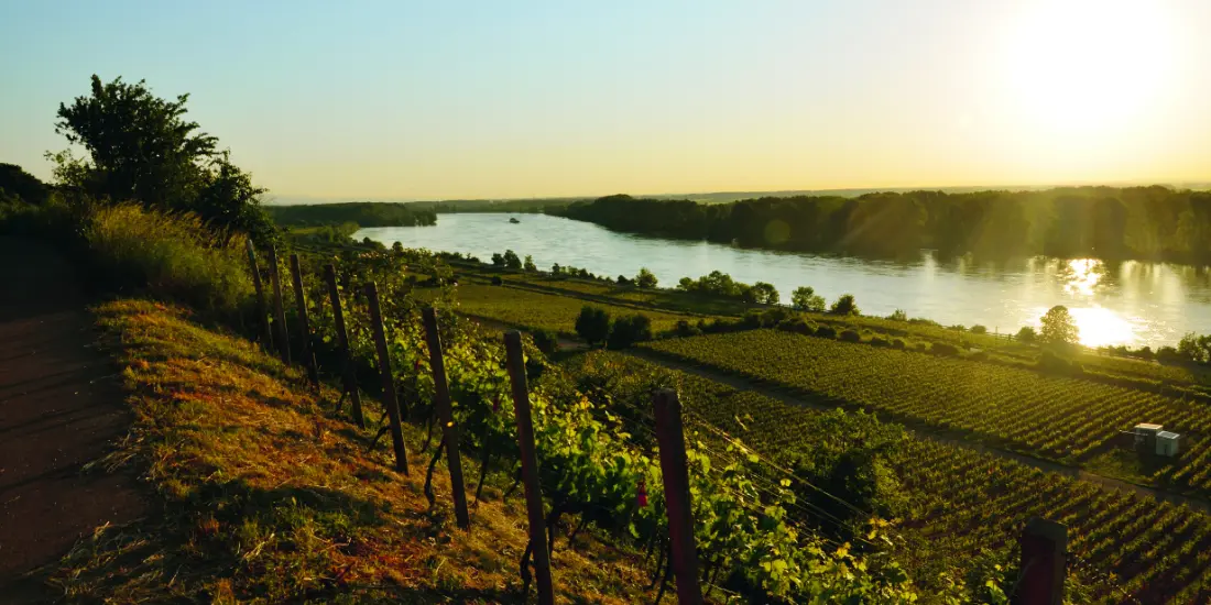 Weingut Schätzel