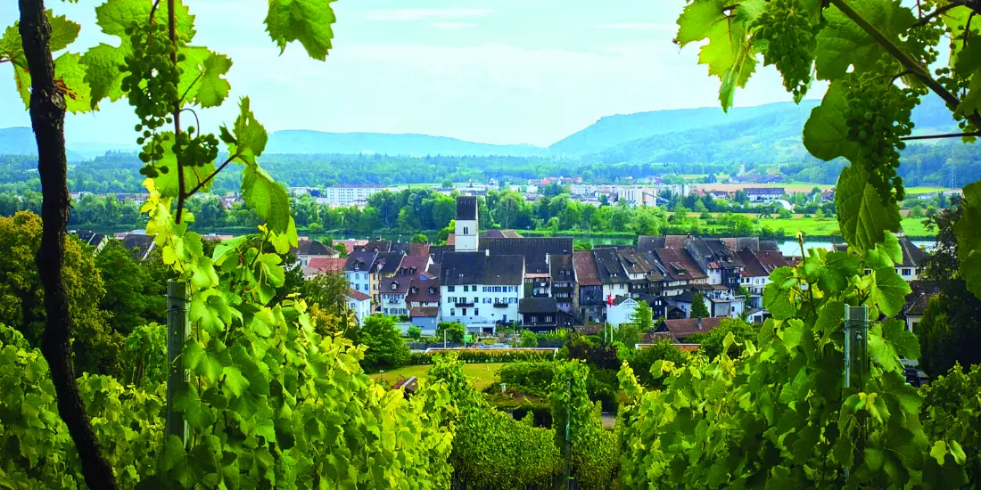 Weingut zum Sternen