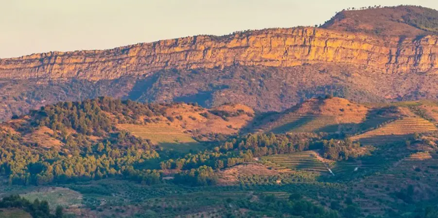 Terroir al Limit