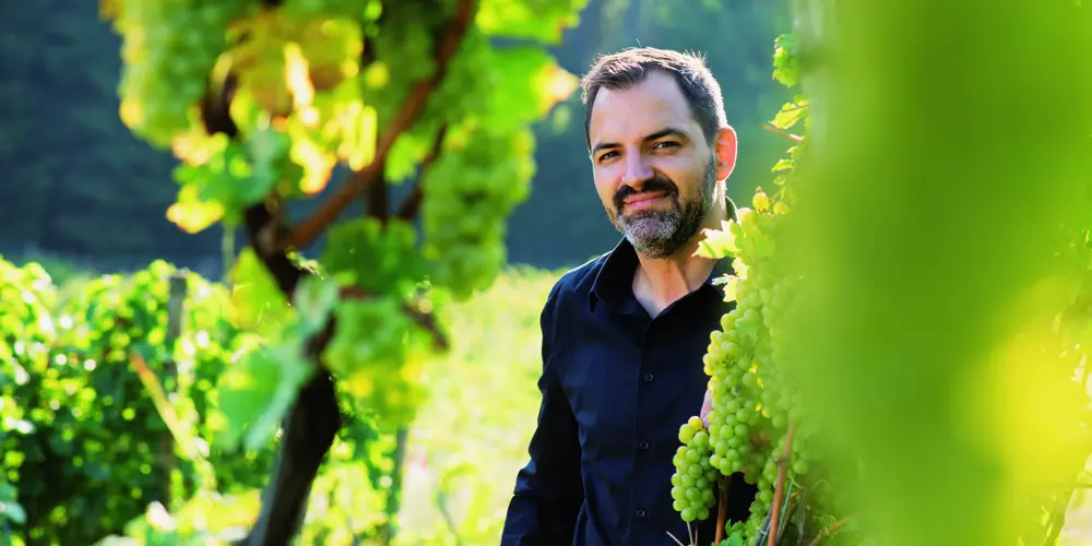 Tobias Weingut
