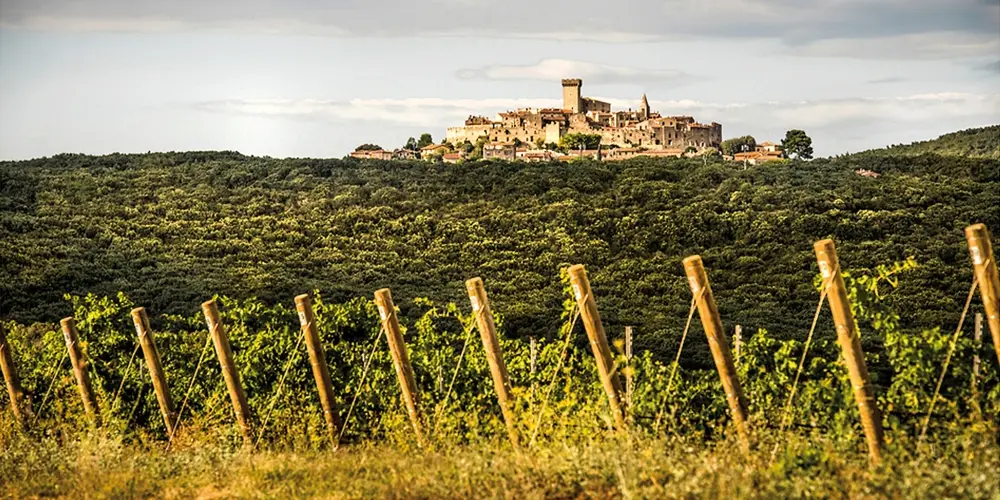 Tenuta San Guido - Incisa della Rocchetta