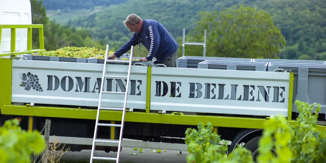 Domaine de Bellene