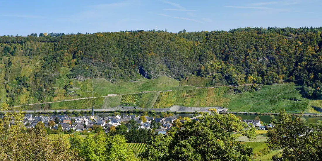 Weingut Vollenweider