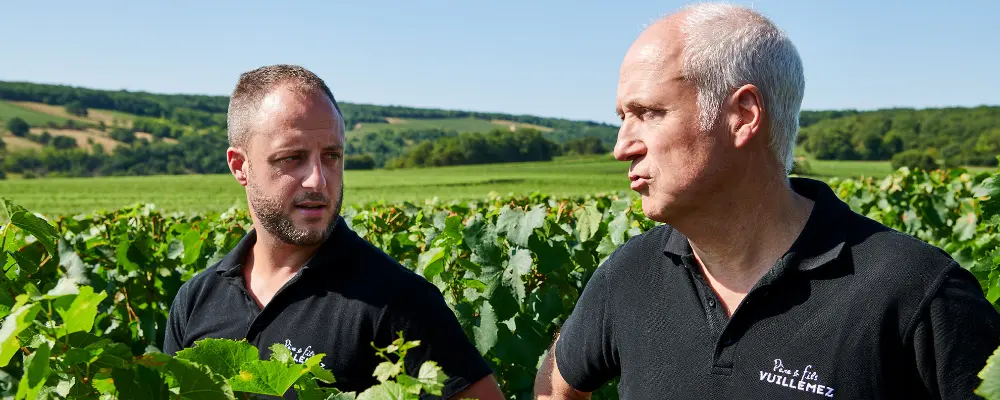 Domaine Vuillemez Père & Fils