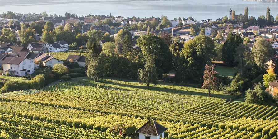 Weingut Erich Meier