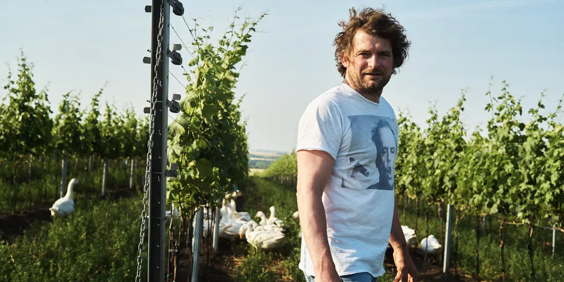 Weingut Herbert Zillinger
