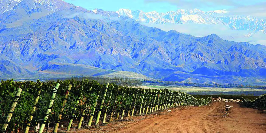 Terrazas des los Andes